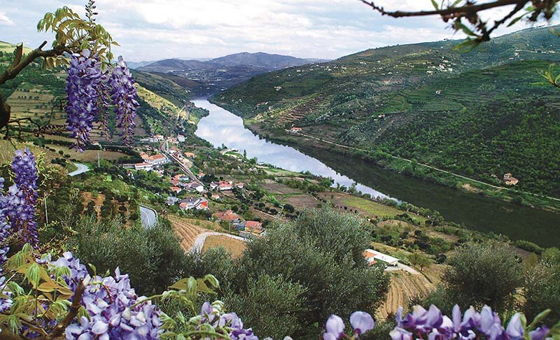 Douro-River-Valley-Portugal.jpg