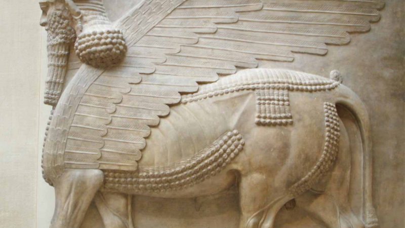 دور شاروکین ، عراق دور شاروکین ، عراق