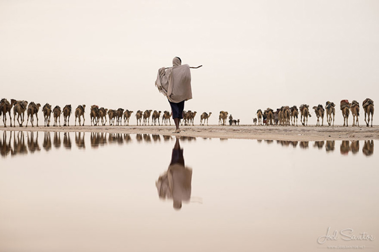 Camel-caravan.jpg