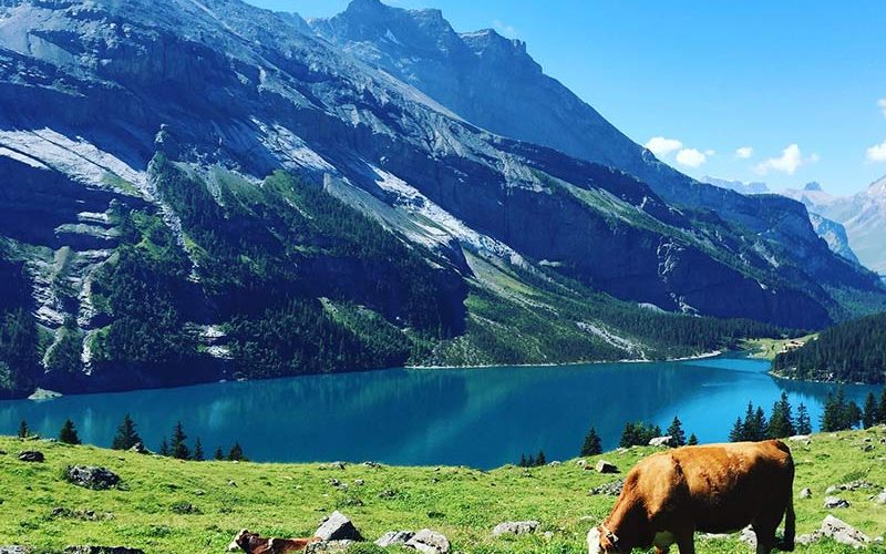 دریاچه سوئیس دریاچه سوئیس