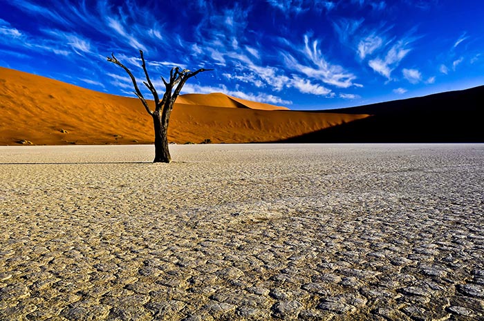 Deadvlei نامیبیا Deadvlei نامیبیا