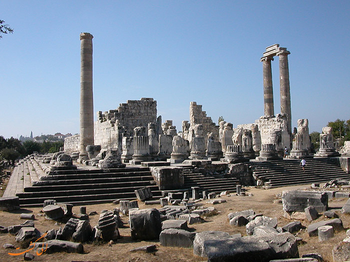 دیدیما دیدیما