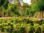 معرفی باغ جنت شیراز