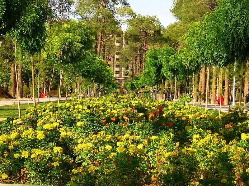باغ جنت باغ جنت