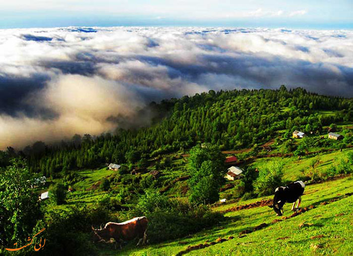 روستای مازیچال روستای مازیچال