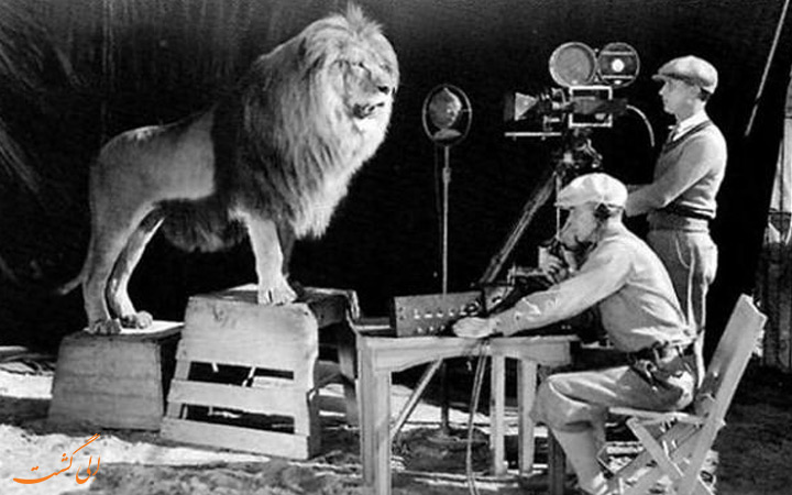 شیر استودیو فیلمسازی MGM شیر استودیو فیلمسازی MGM