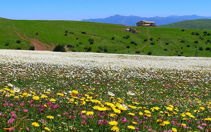 شهر زیبای اردبیل شهر زیبای اردبیل