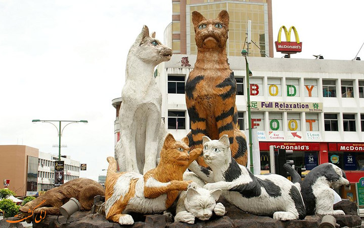 شهری که به شهر گربه ها معروف است! 1