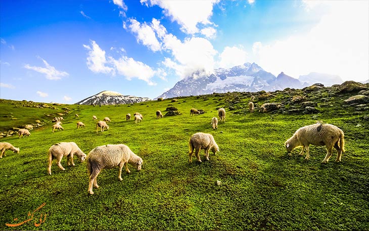 پارک ملی داچیگام پارک ملی داچیگام