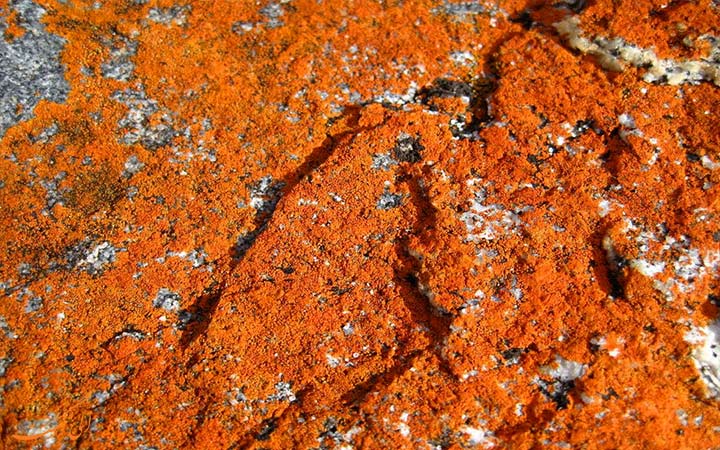 رنگ نارنجی صخره ها رنگ نارنجی صخره ها