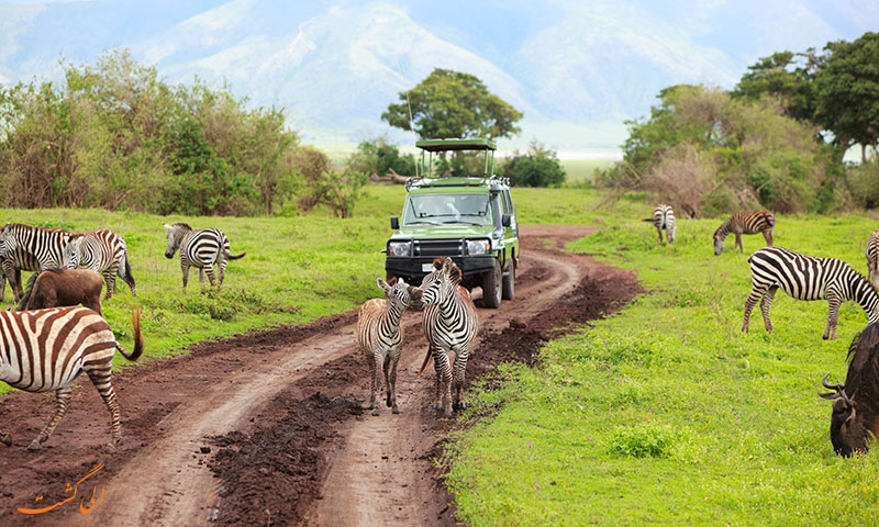 kenya-tanzania-combined-safari.jpg