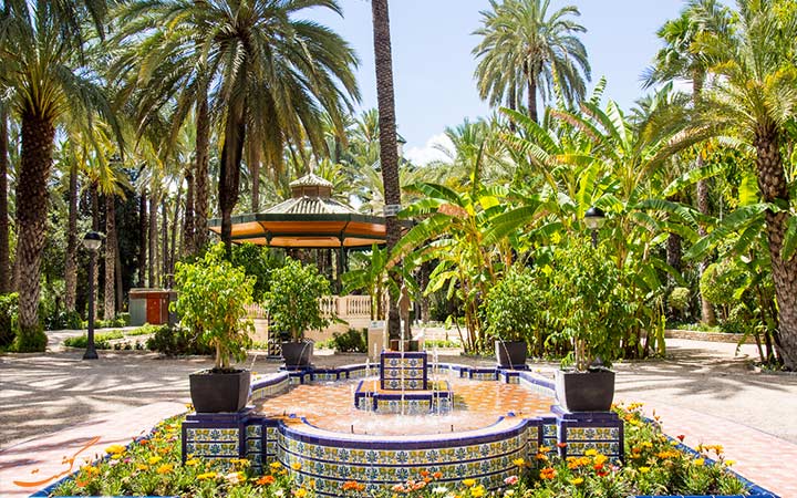 درختان زیبای نخل در اسپانیا درختان زیبای نخل در اسپانیا