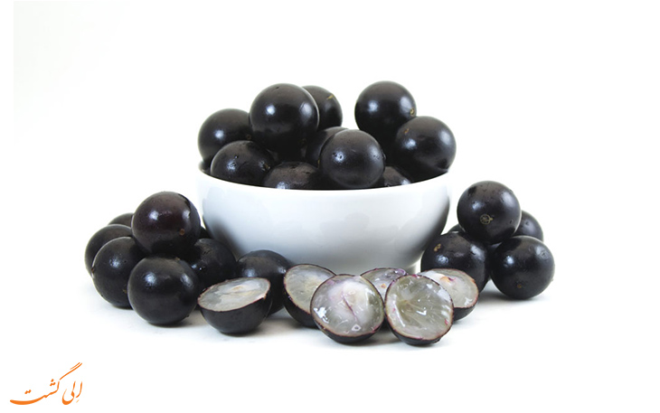 3. Jabuticaba 3. Jabuticaba
