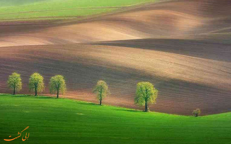 دشت های سرسبز دشت های سرسبز