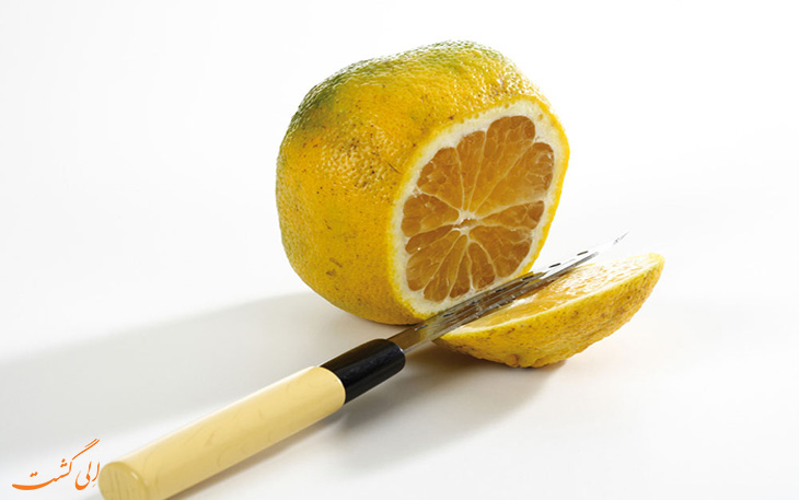 6. Ugli fruit میوه عجیب دنیا