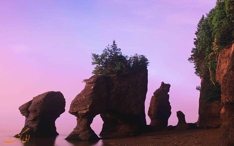 صخره های فیل در کانادا