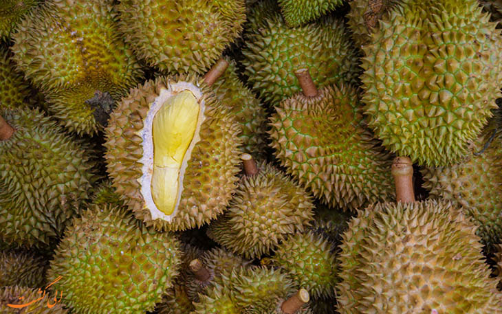 9. Durian میوه عجیب دنیا