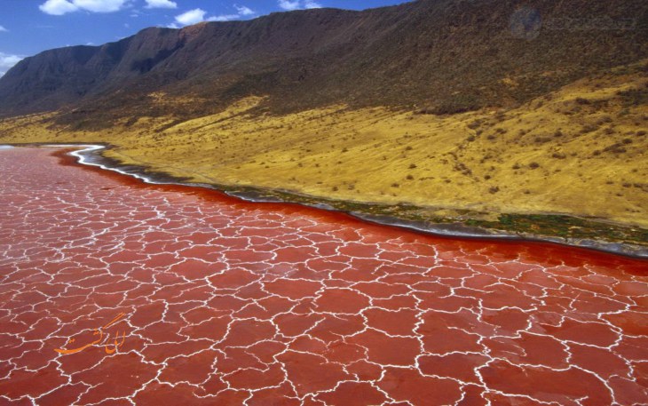 Lake.Natron.original.1312 Lake.Natron.original.1312