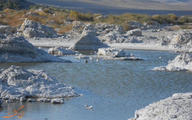 Mono Lake دریاچه های خطرناک جهان