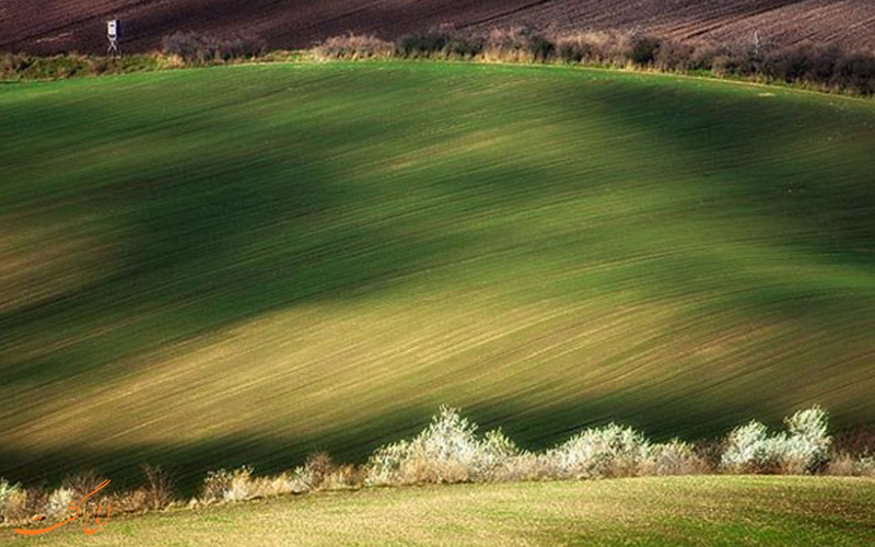 چمنزارهای دشت اروپا چمنزارهای دشت اروپا