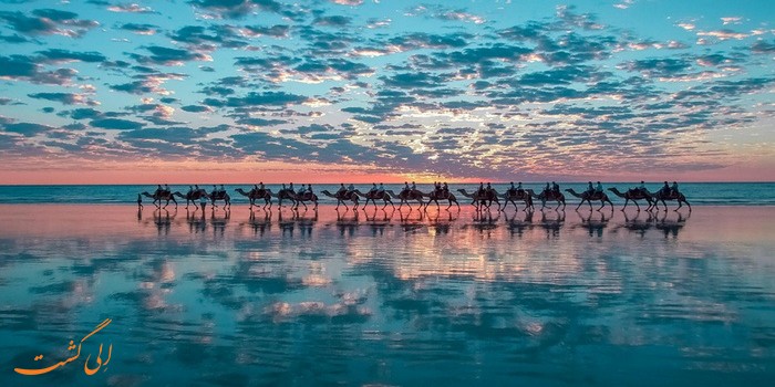 شتر سواری در ساحل غرب استرالیا شتر سواری در ساحل غرب استرالیا