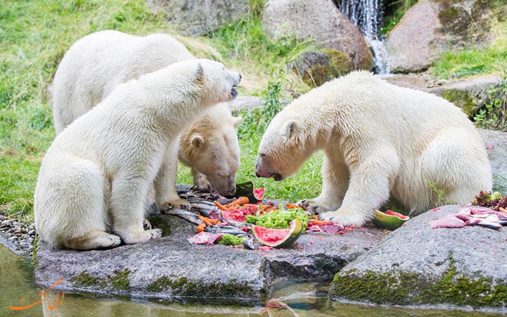 Hellabrunn-Zoo.jpg