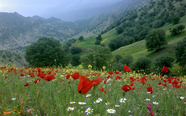 ایلام ایلام
