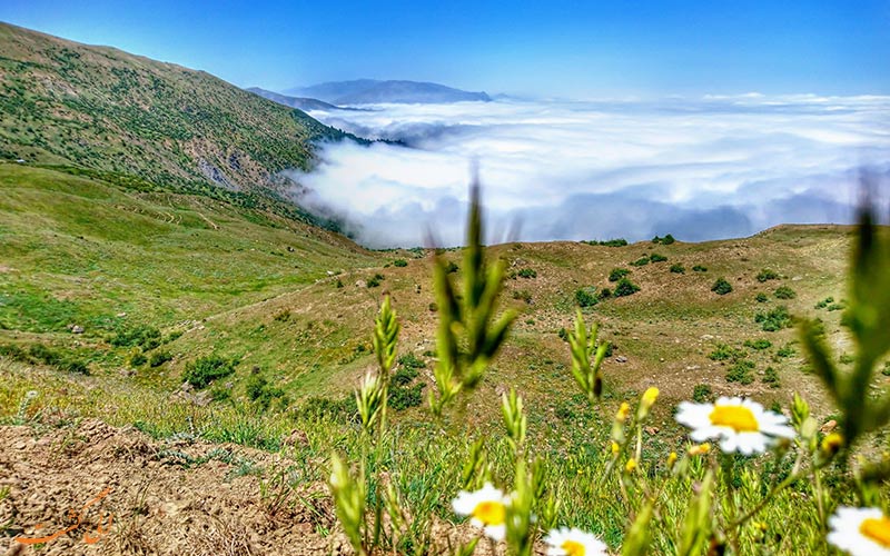 فیلبند فیلبند