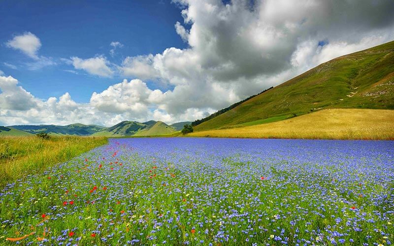 02tuscan-countryside.jpg