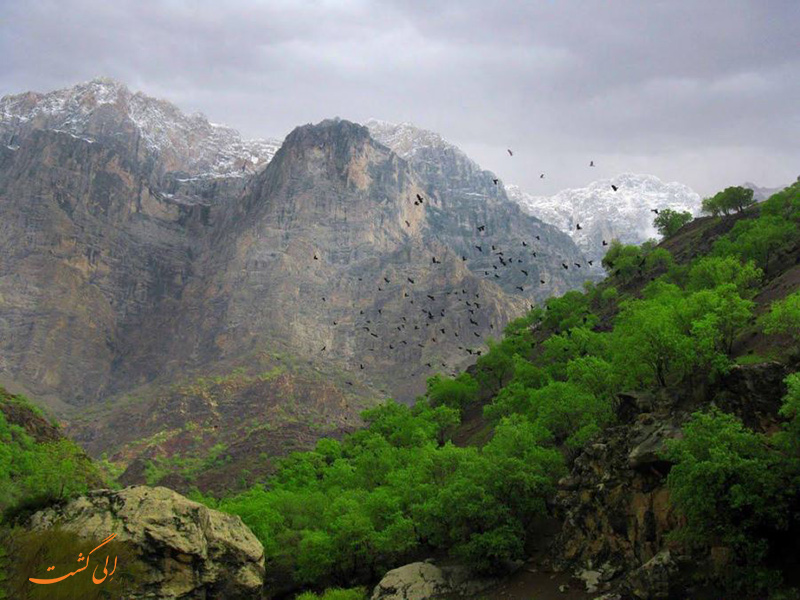 دره عشق چهارمحال بختیاری دره عشق چهارمحال بختیاری