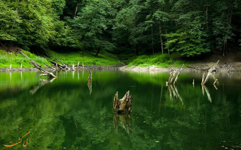 دریاچه زیبای چورت دریاچه زیبای چورت