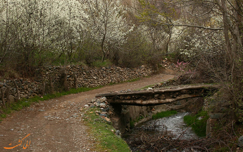 روستای خرو روستای خرو