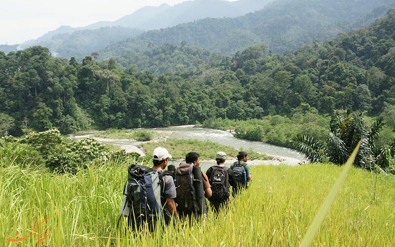 پارک ملی Gunung پارک ملی Gunung