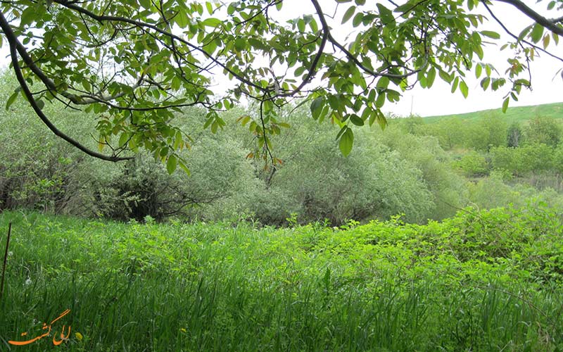 جاذبه های طبیعی ایران جاذبه های طبیعی ایران