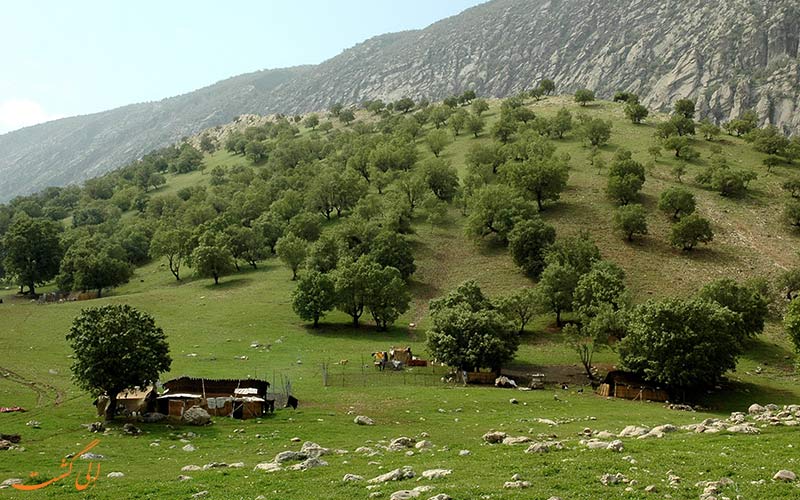 پارک جنگلی پروز پارک جنگلی پروز