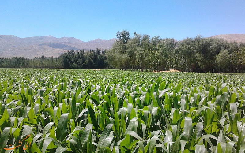 طبیعت شهرکرد طبیعت شهرکرد