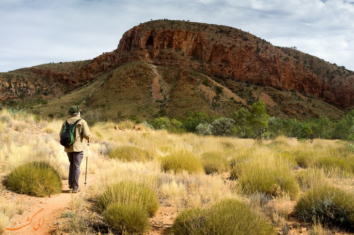 Larapinta Trail
