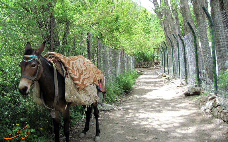 مسیر پیاده روی روستای آهار مسیر پیاده روی روستای آهار