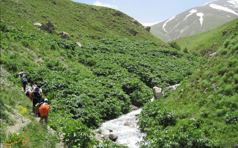 روستای آهار در تهران روستای آهار در تهران