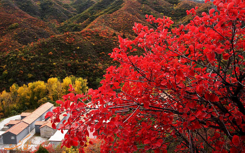 جاذبه های طبیعی پکن در فصل بهار جاذبه های طبیعی پکن در فصل بهار