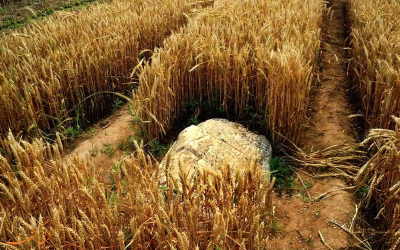 کوهی عجیب در چین کوهی عجیب در چین