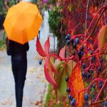 بیوک آدا، معروفترین جزیره استانبول