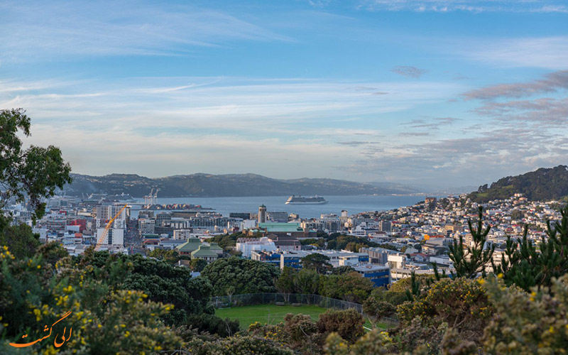 wellington wellington