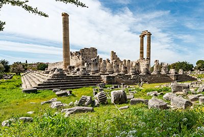 راهنمای سفر به دیدیم