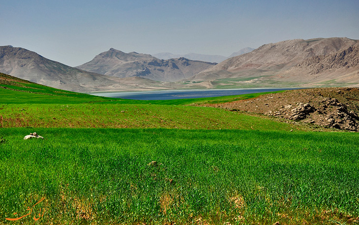 تالاب چغاخور در چهارمحال و بختیاری تالاب چغاخور در چهارمحال و بختیاری