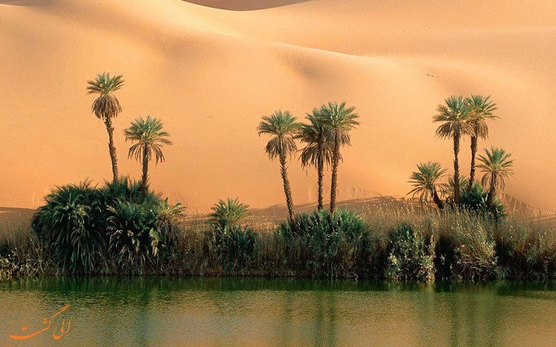 بیابان عجیب بیابان عجیب