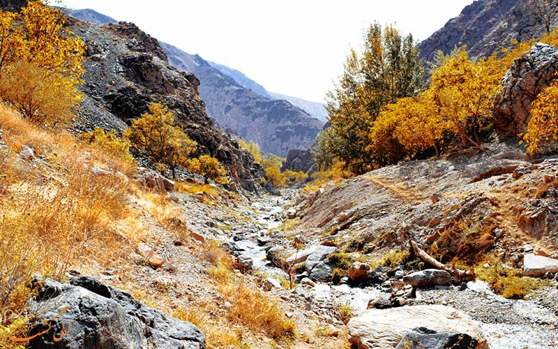 رودخانه رودخانه