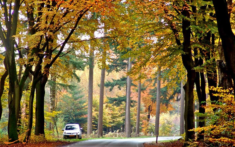 طبیعت در پاییز طبیعت در پاییز