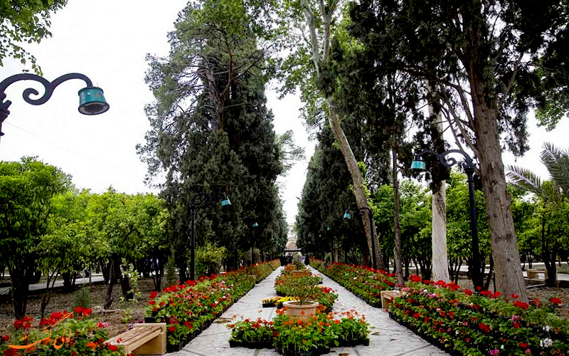 شیراز شیراز