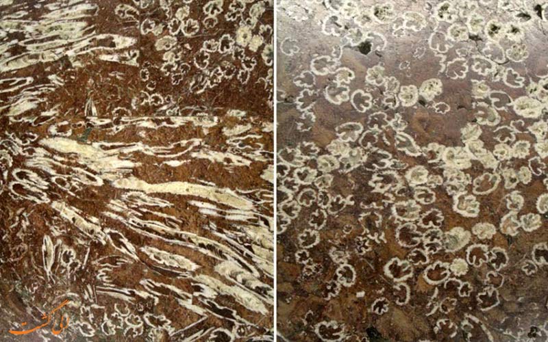 کفپوش هایی با فسیل کفپوش هایی با فسیل